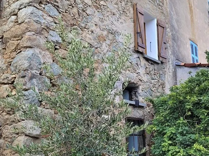 1722 Cosy Home Corbara *